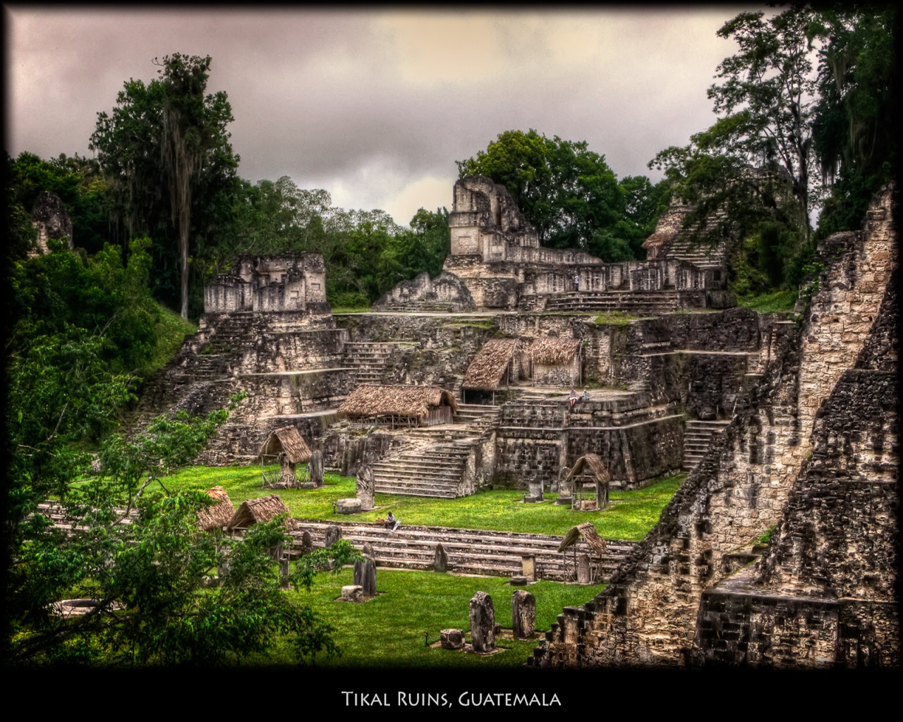 Tikal Guatemala Wallpaper