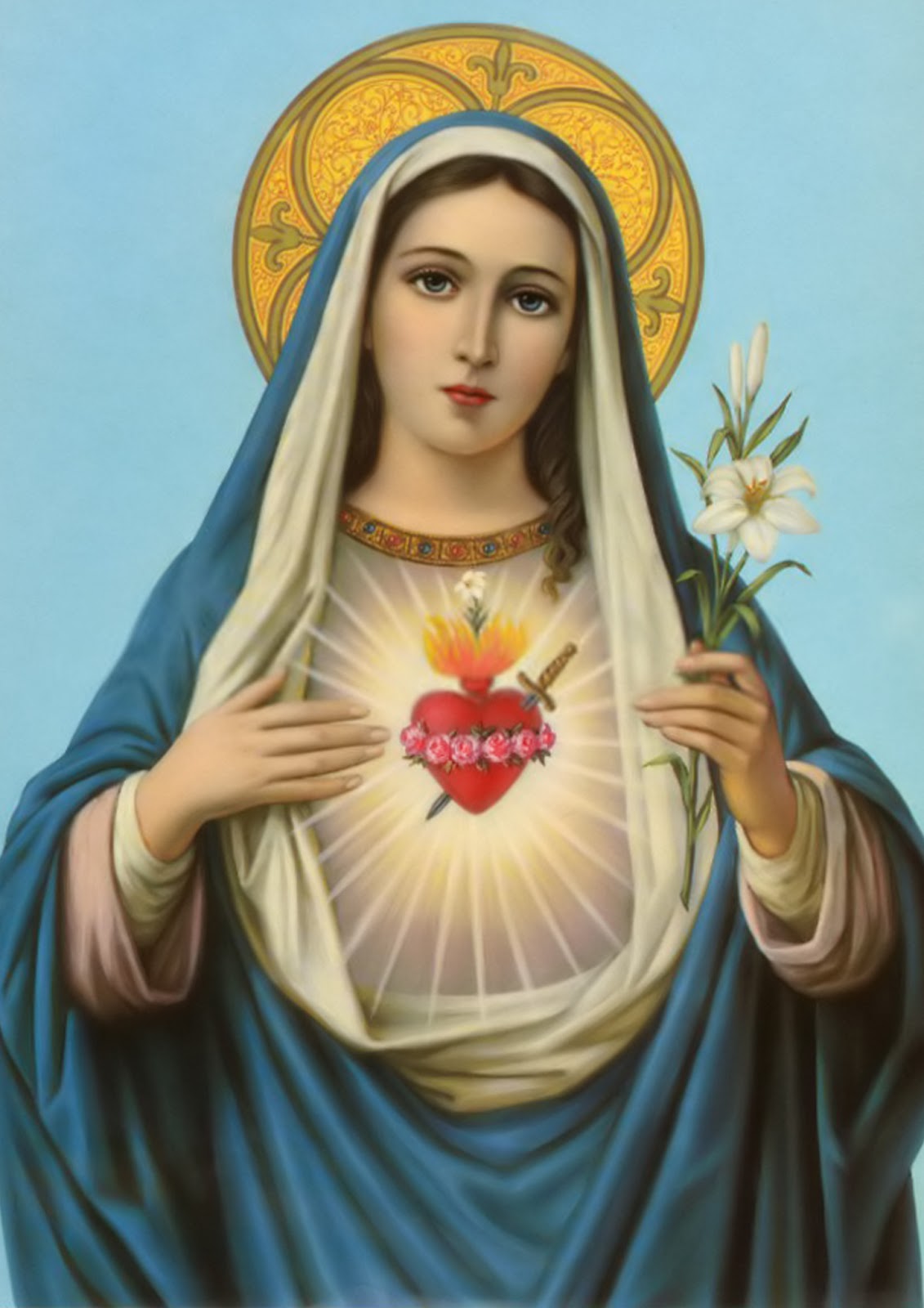 Feast Of The Immaculate Heart Mary Wallpaper