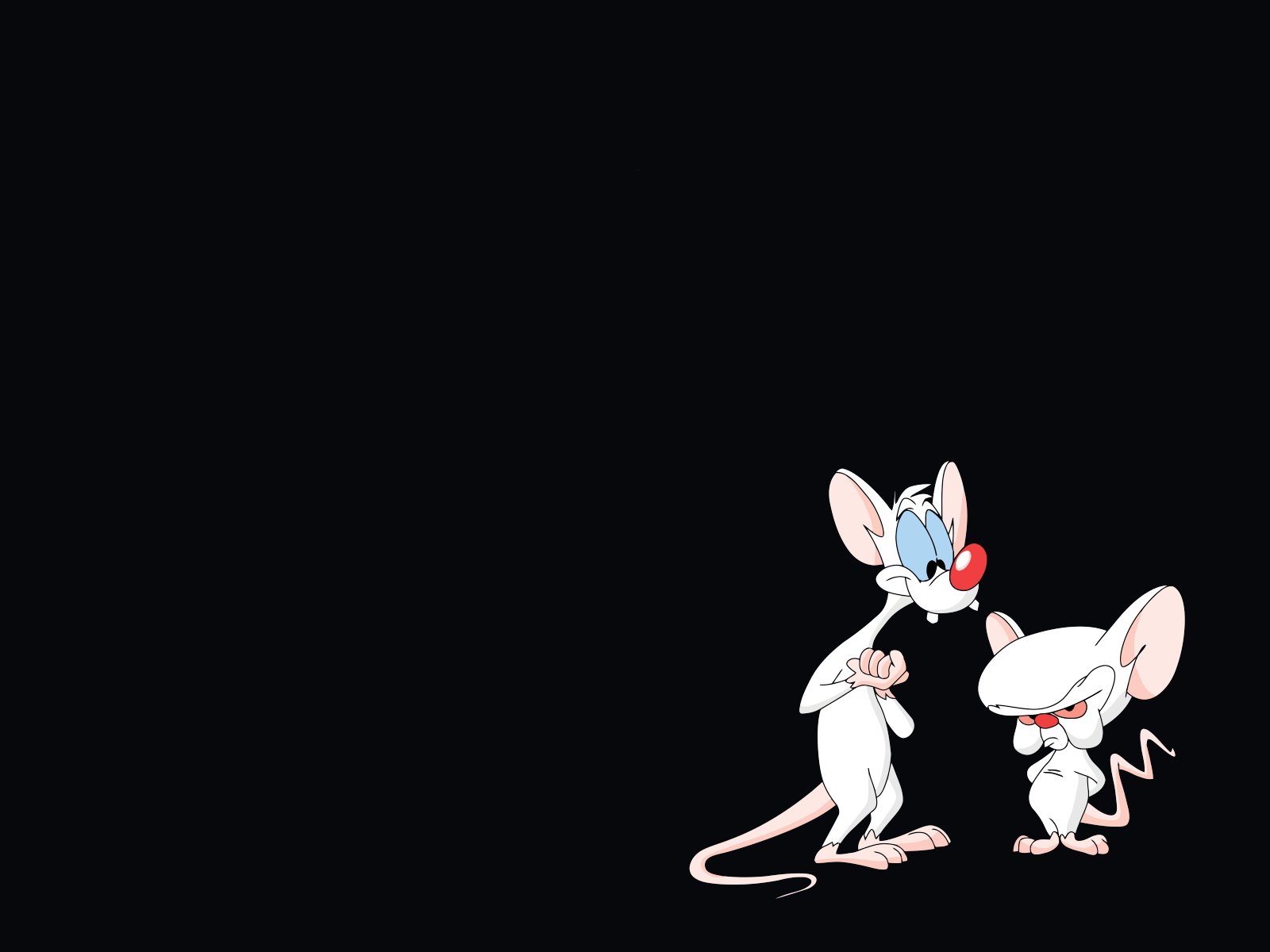 Pinky And The Brain Wallpaper 3   1600 X 1200 stmednet
