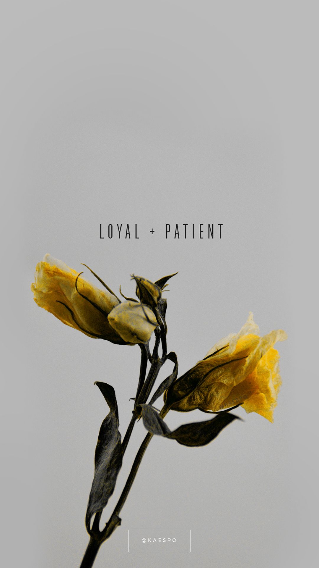 Loyal And Patient Quote On Yellow Floral Background iPhone Case