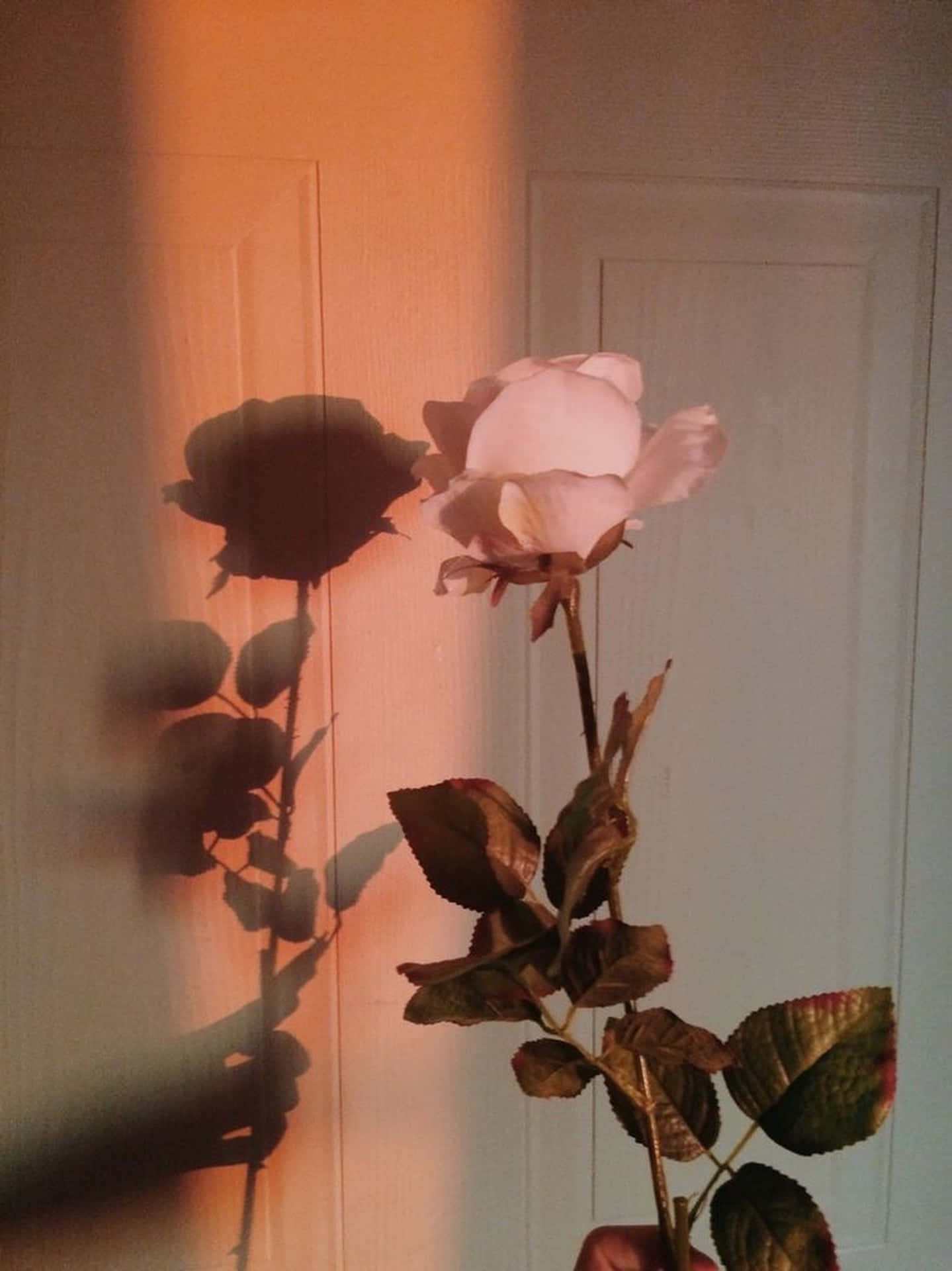 Pink Aesthetic Wallpaper
