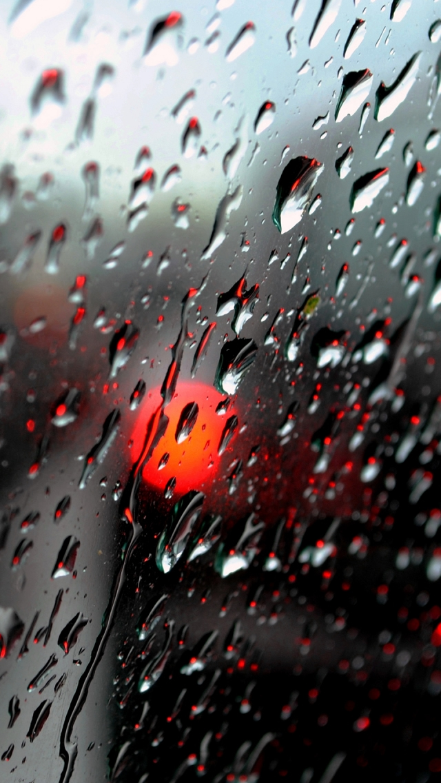 Fresh Rain Drops iPhone 5s Wallpaper