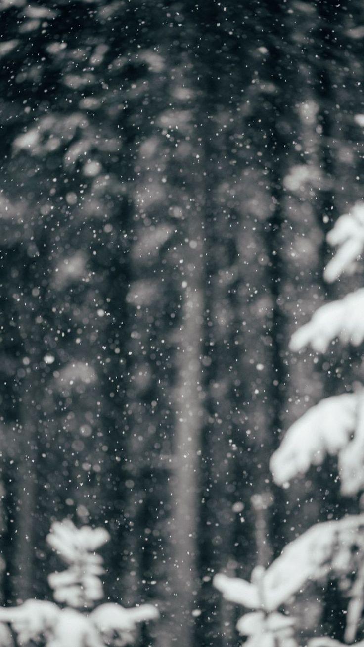 A Snowfall Wallpaper For Your iPhone Check Out Selection Of