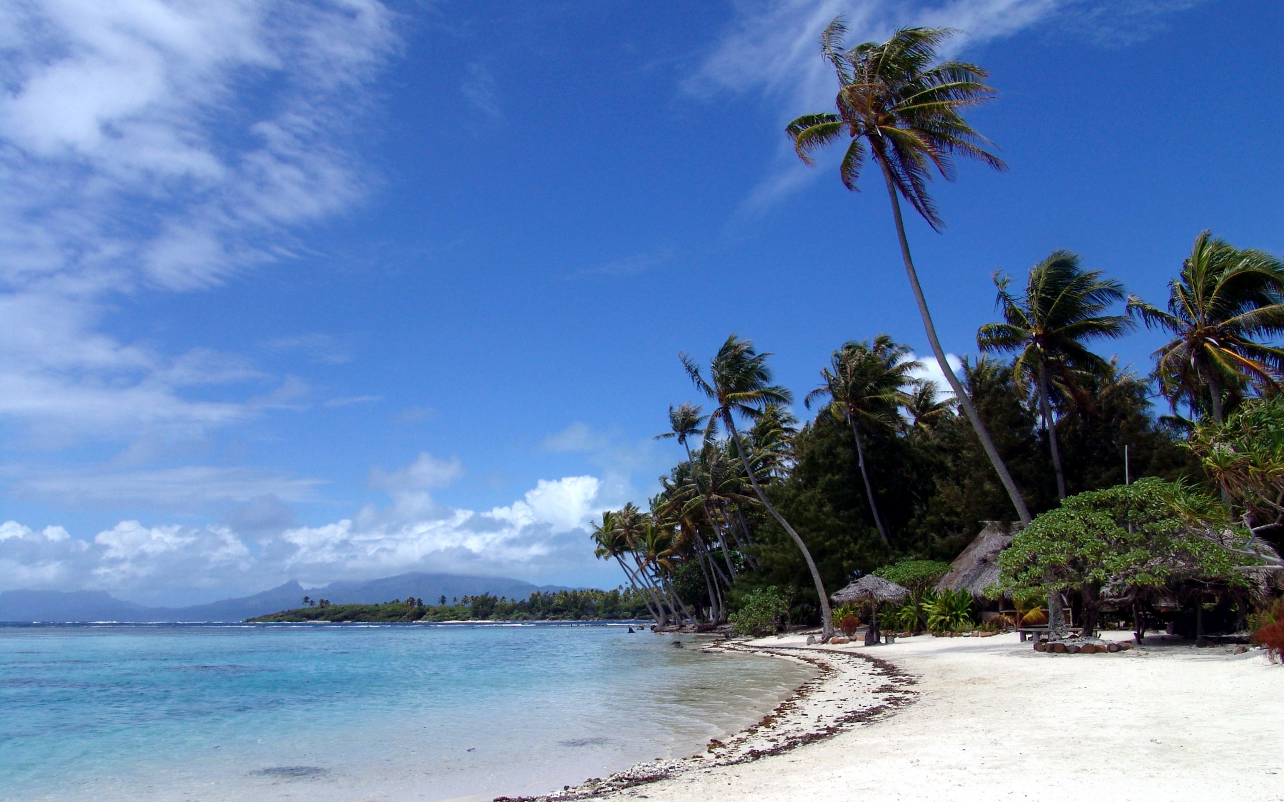 Polynesian Beach Desktop Pc And Mac Wallpaper