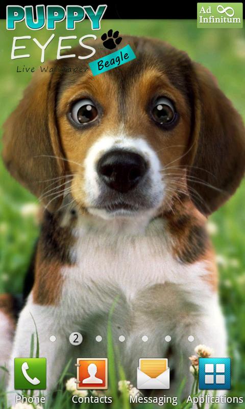 Puppy Beagle Live Wallpaper Screenshot