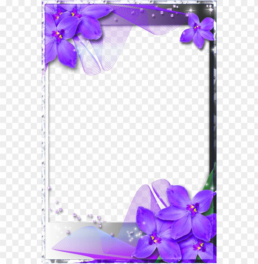 Beautiful Transparent Frame With Purple Orchids Background Best