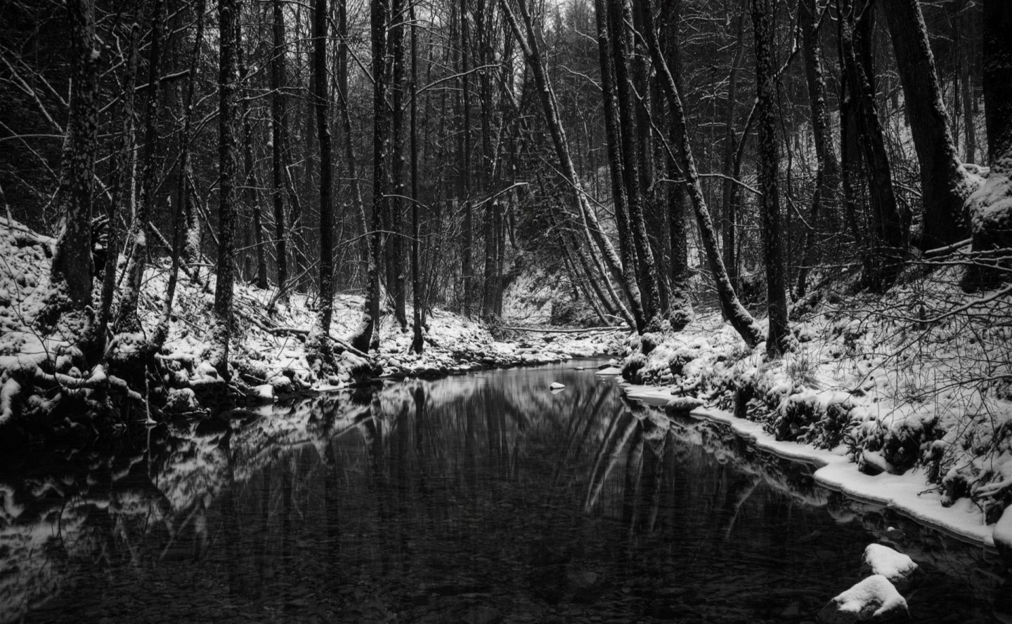 Dark Winter Forest Fondos De Pantalla