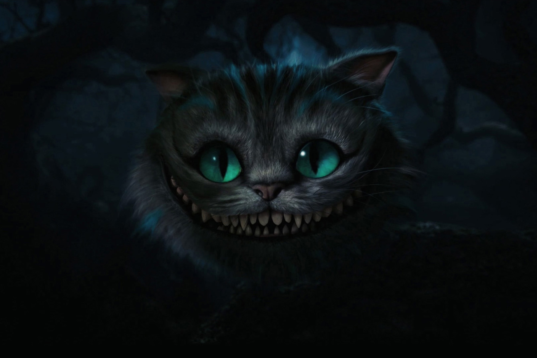 Cats Alice Wallpaper In Wonderland Scary