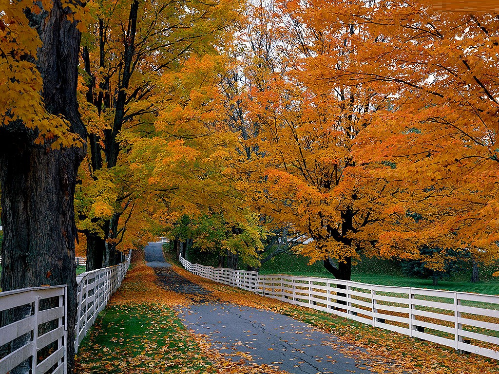 Fall Computer Wallpaper Desktop