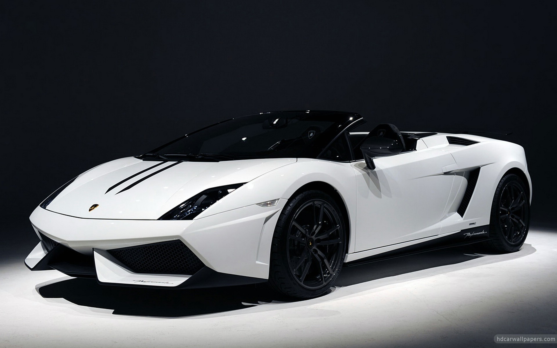White Lamborghini Gallardo Spyder on Display