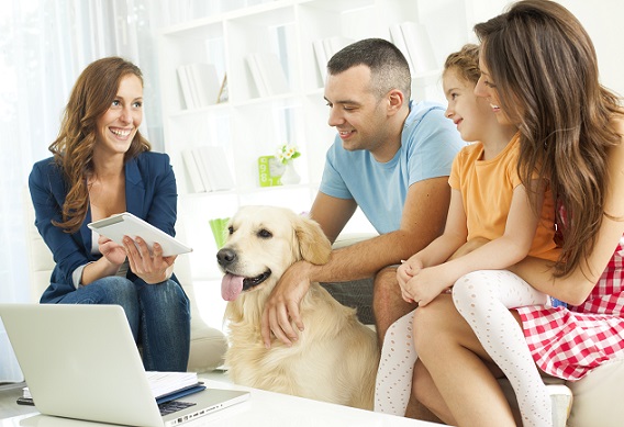 Finding The Right Pet Sitter For You Your Pets