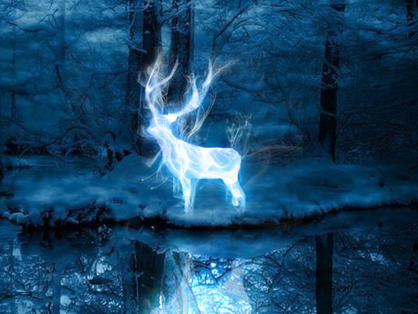Take Pottermore S New Patronus Quiz To Find Out If You Re A