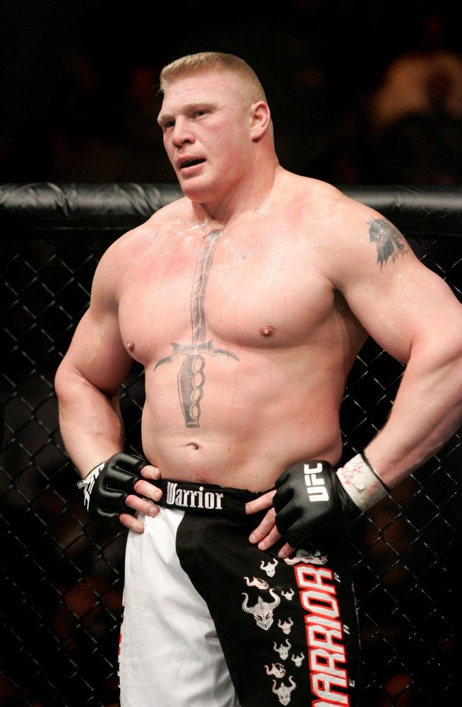 Image Wwe Brock Lesnar Ufc Pc Android iPhone And iPad Wallpaper