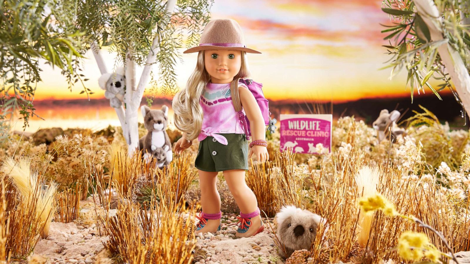 American Girl S Doll Of The Year Is Wildlife Conservationist