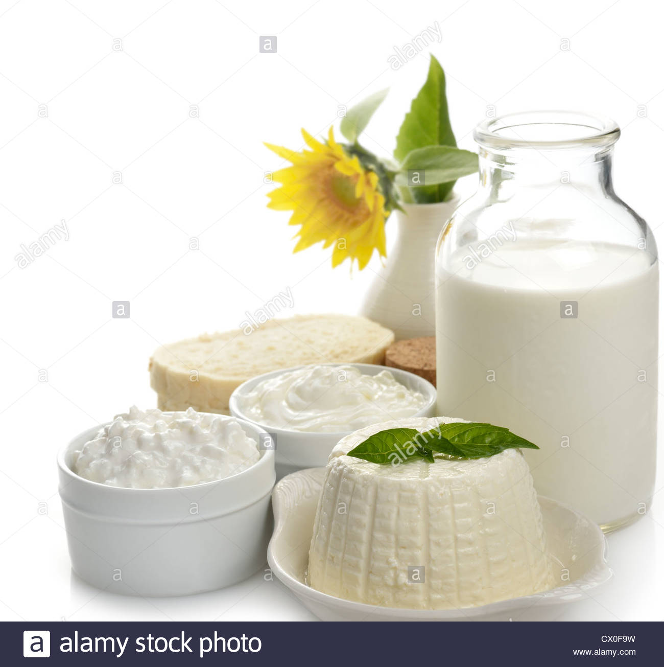 Dairy Products On White Background Stock Photo
