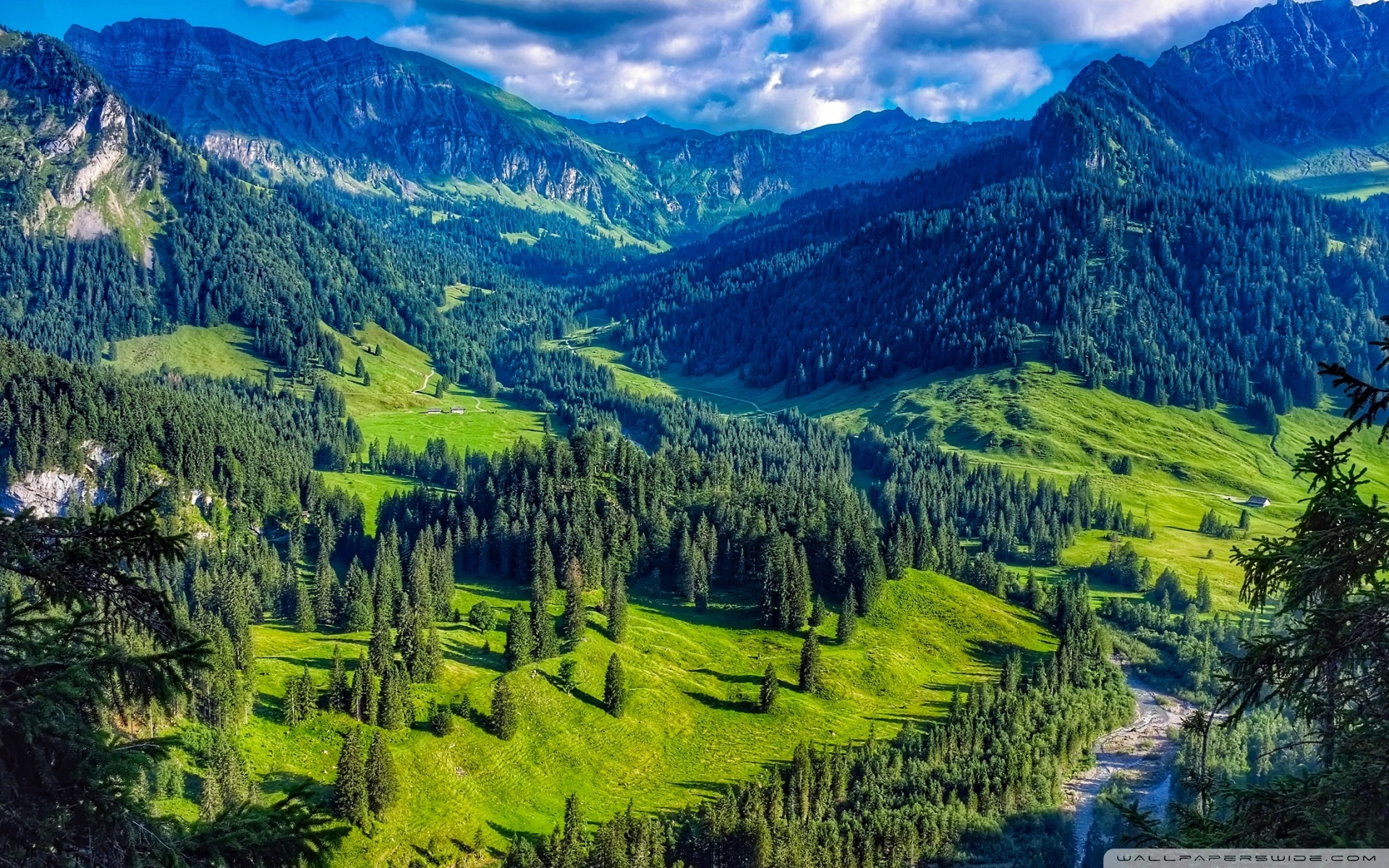 Austria Mountain Forest Landscape 4k HD Desktop Wallpaper For
