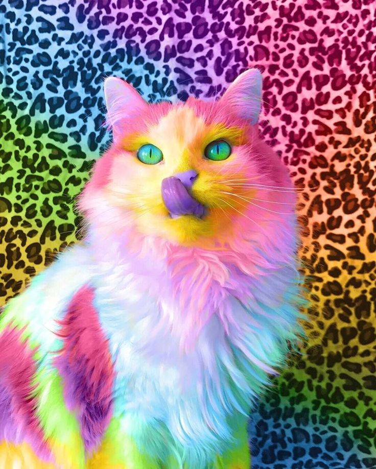Animals The Magnificent Rainbow Makeover Edition