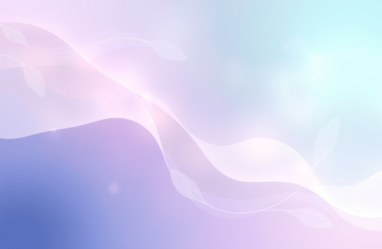 Sorry Wallpaper