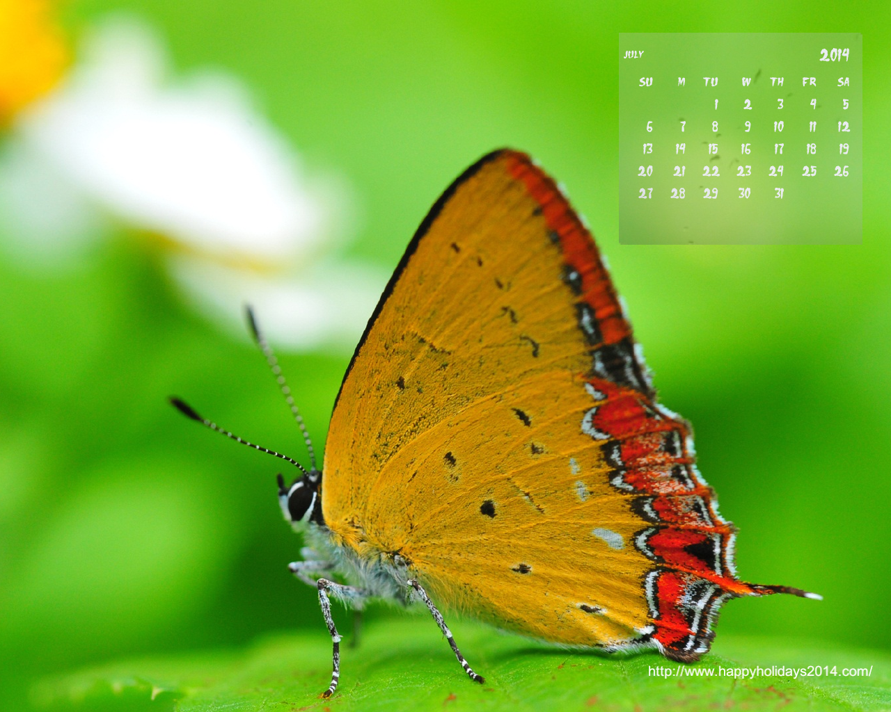 July 2014 Calendar Wallpapers Happy Holidays 2014 1280x1024