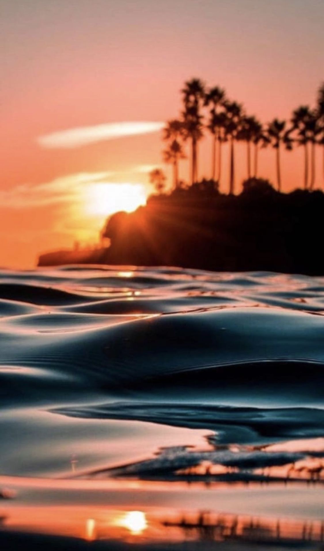Aesthetic Photography Wallpaper