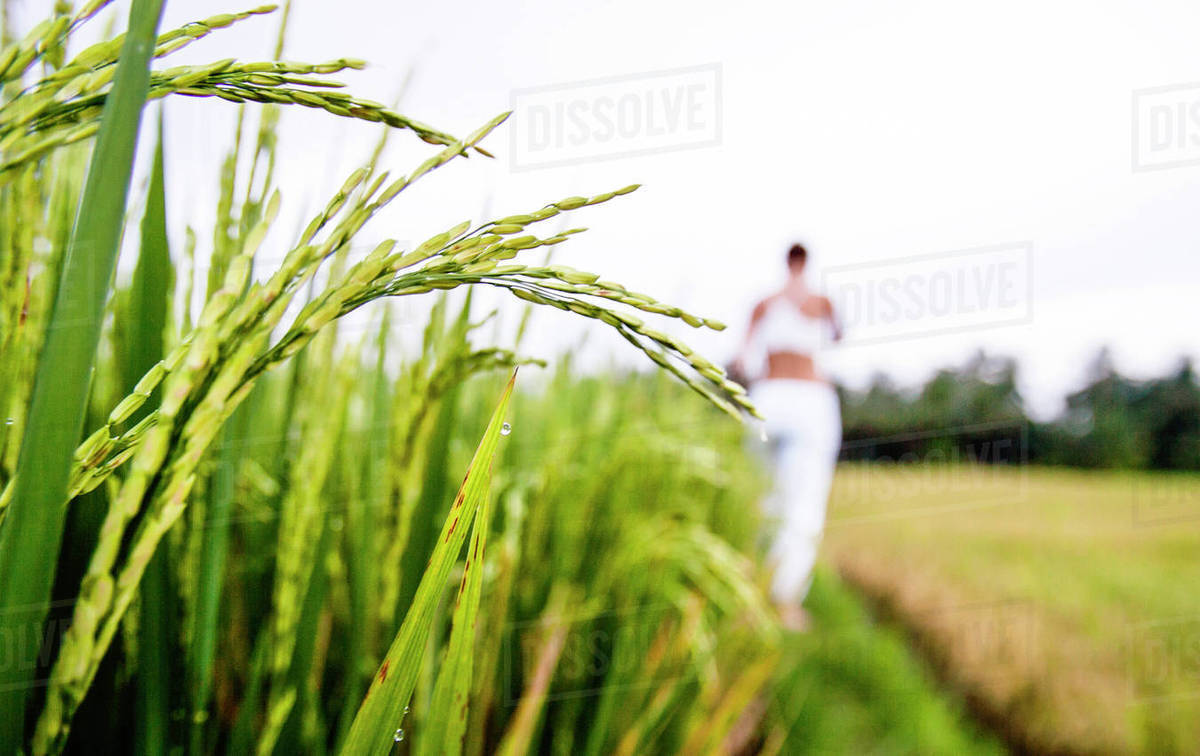 Crops Growing On Field With Woman Standing In Background Stock
