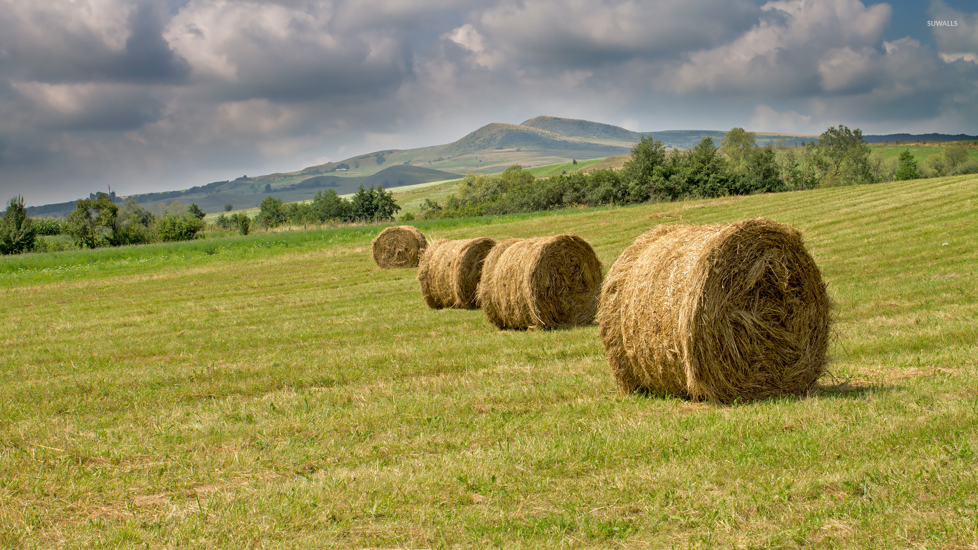 Hay Bales On The Meadow Wallpaper Nature