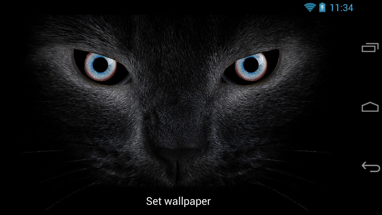 Black Cat Eyes Live Wallpaper Android Apps On Google Play