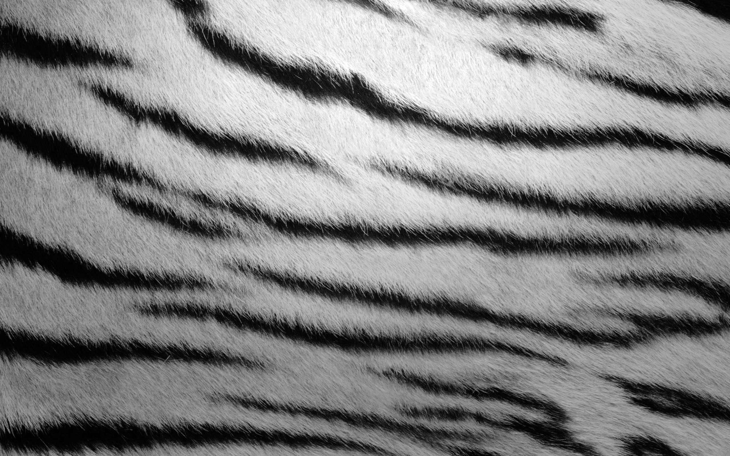 Fur Textures Zebra Stripes Wallpaper Background