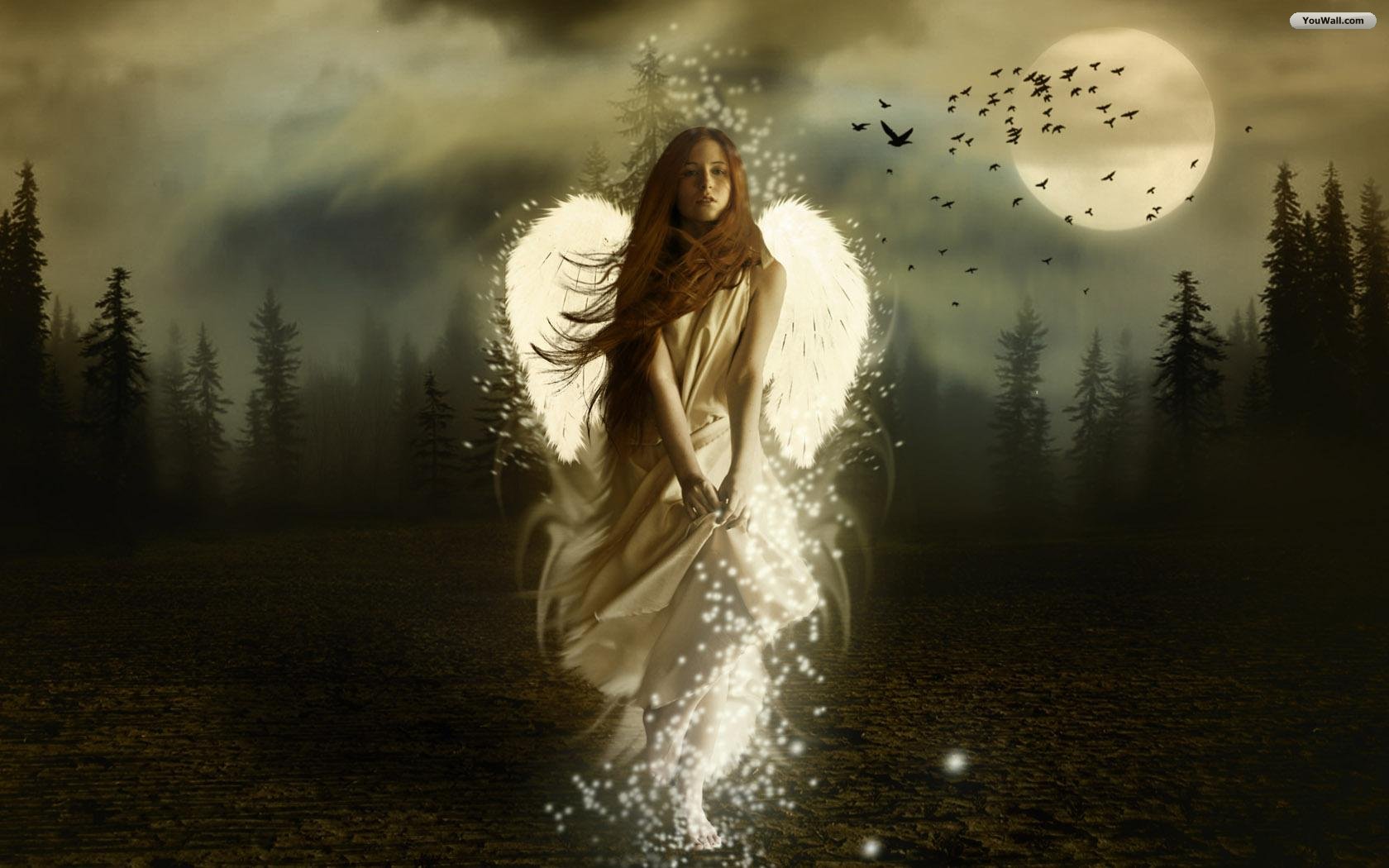 Dark Angel Wallpaper