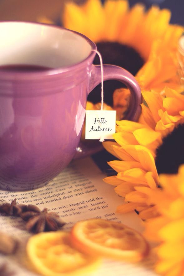 Insanely Potterhead On Tea Love Hello Autumn Fall