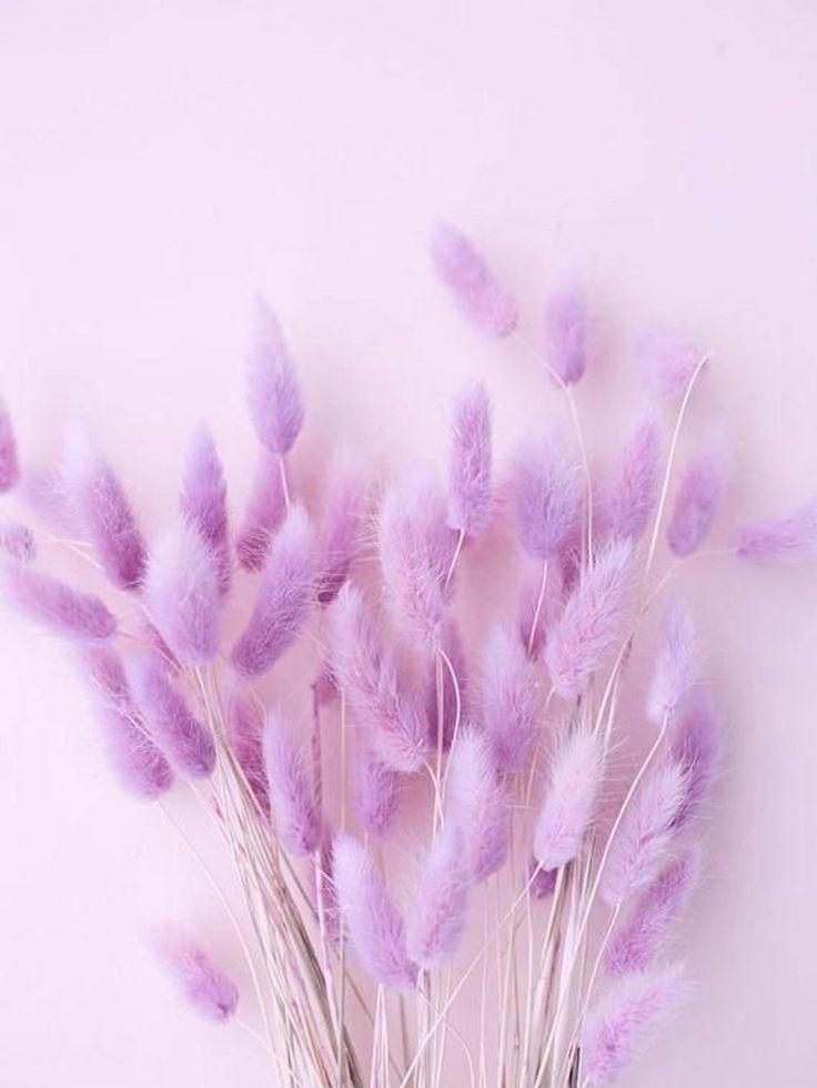 Photo Wall Collage Kit Lavender Light Purple Aesthetic Set