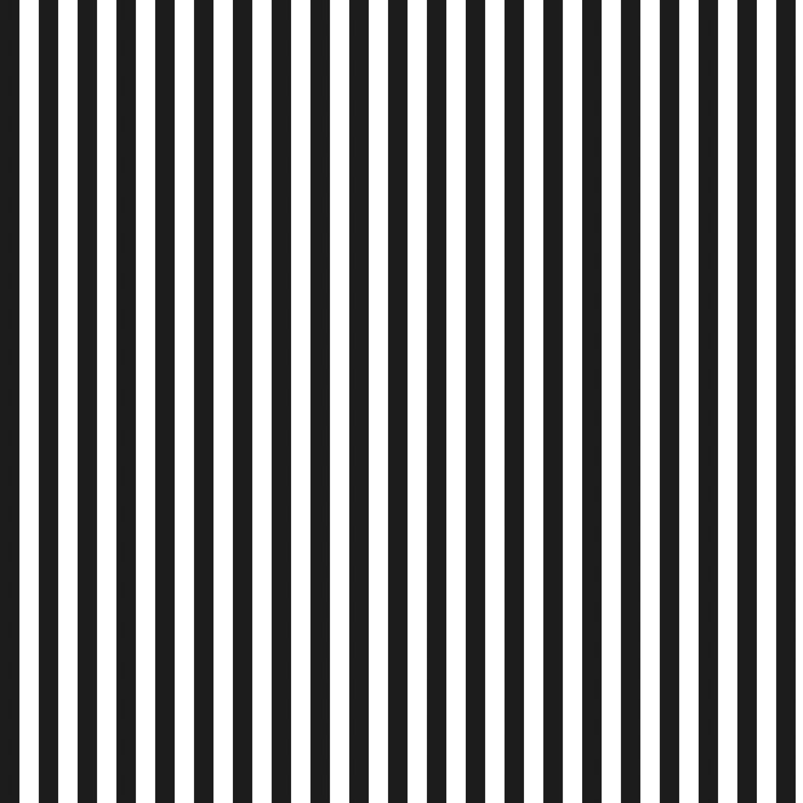 colors that go with black and white stripes