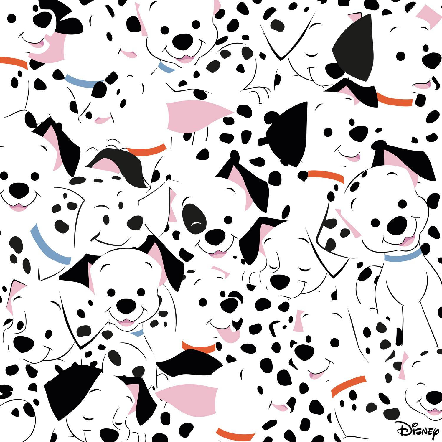 Packed Dalmatians H0vna1do2l6mwmv8 Wallpaper