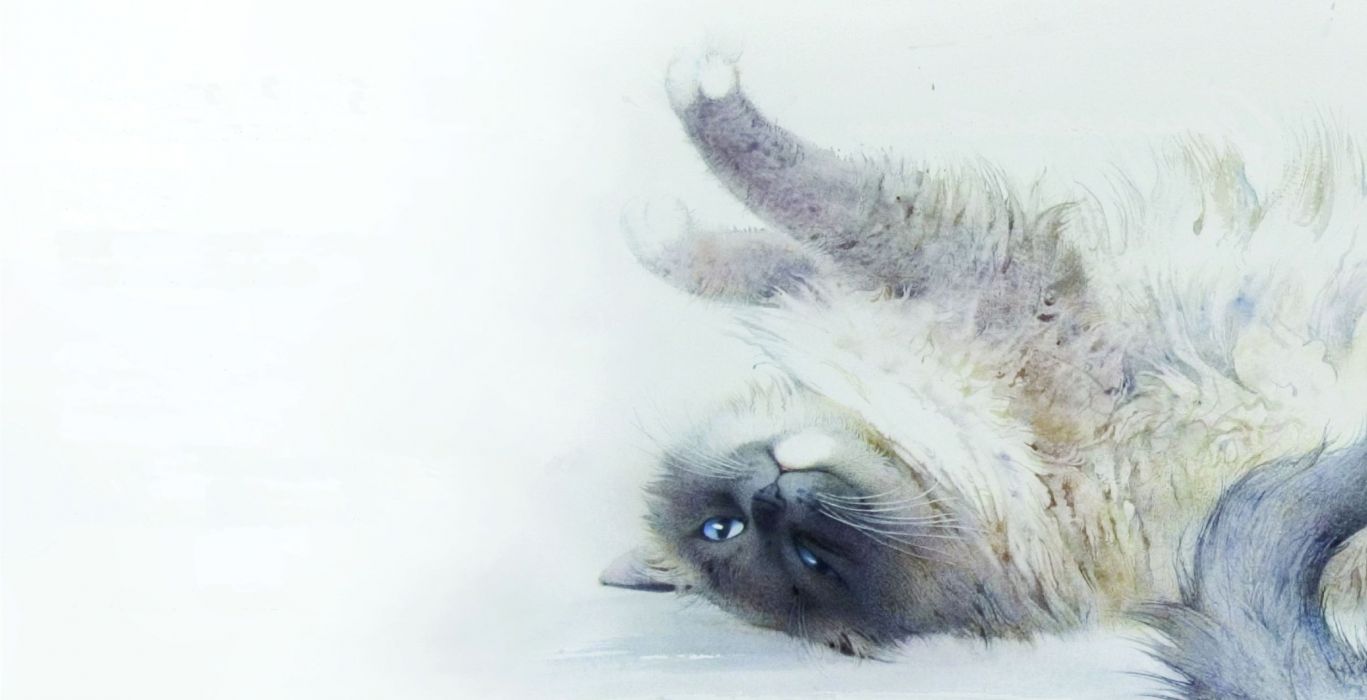 Painting Watercolor Art Cat Stretching Wallpaper