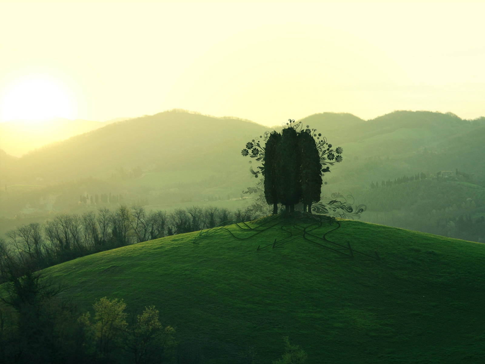 Dark Green Hill Wallpaper