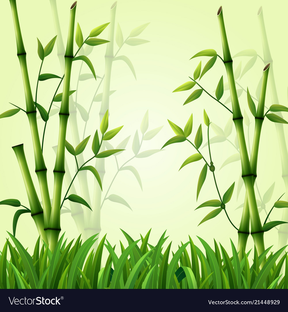 Bamboo Background With Grass Royalty Vector Image