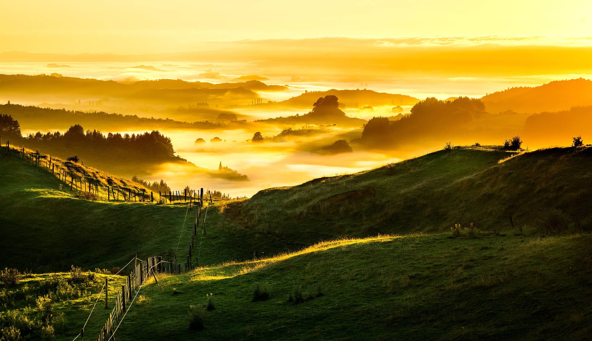 Green Hill Golden Sunrise Wallpaper
