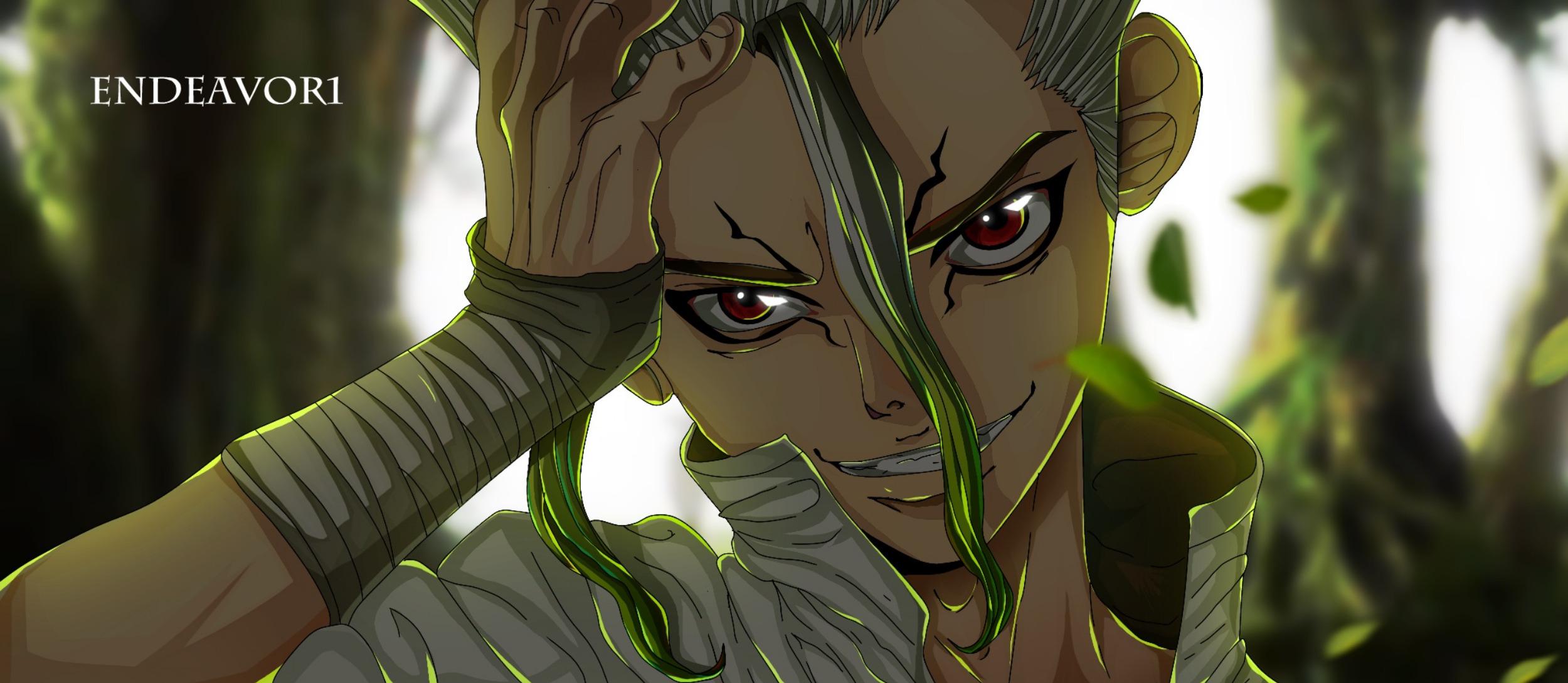 Dr Stone HD Wallpaper And Background