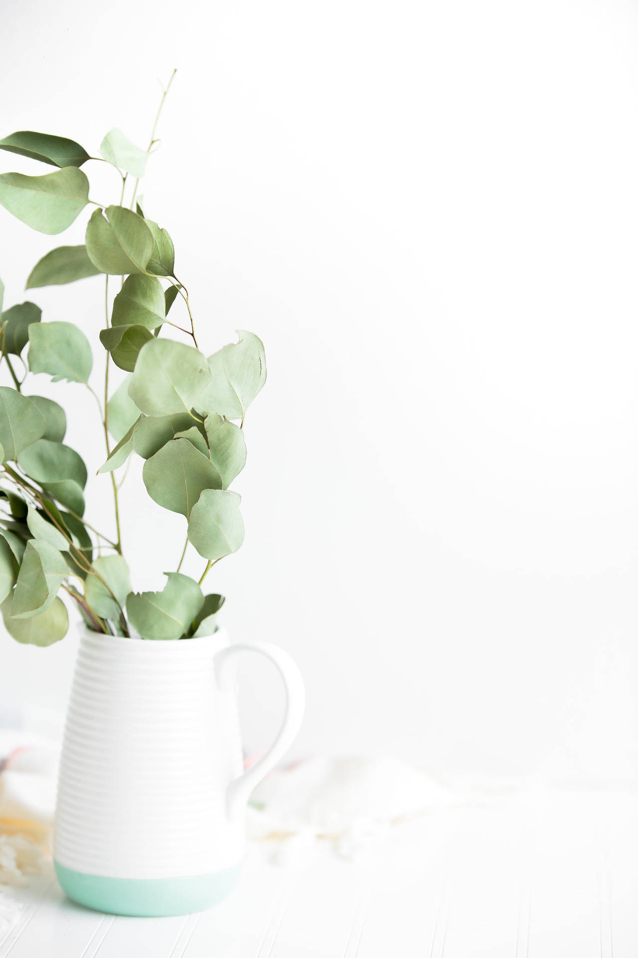 Minimalist Plant Wallpaper