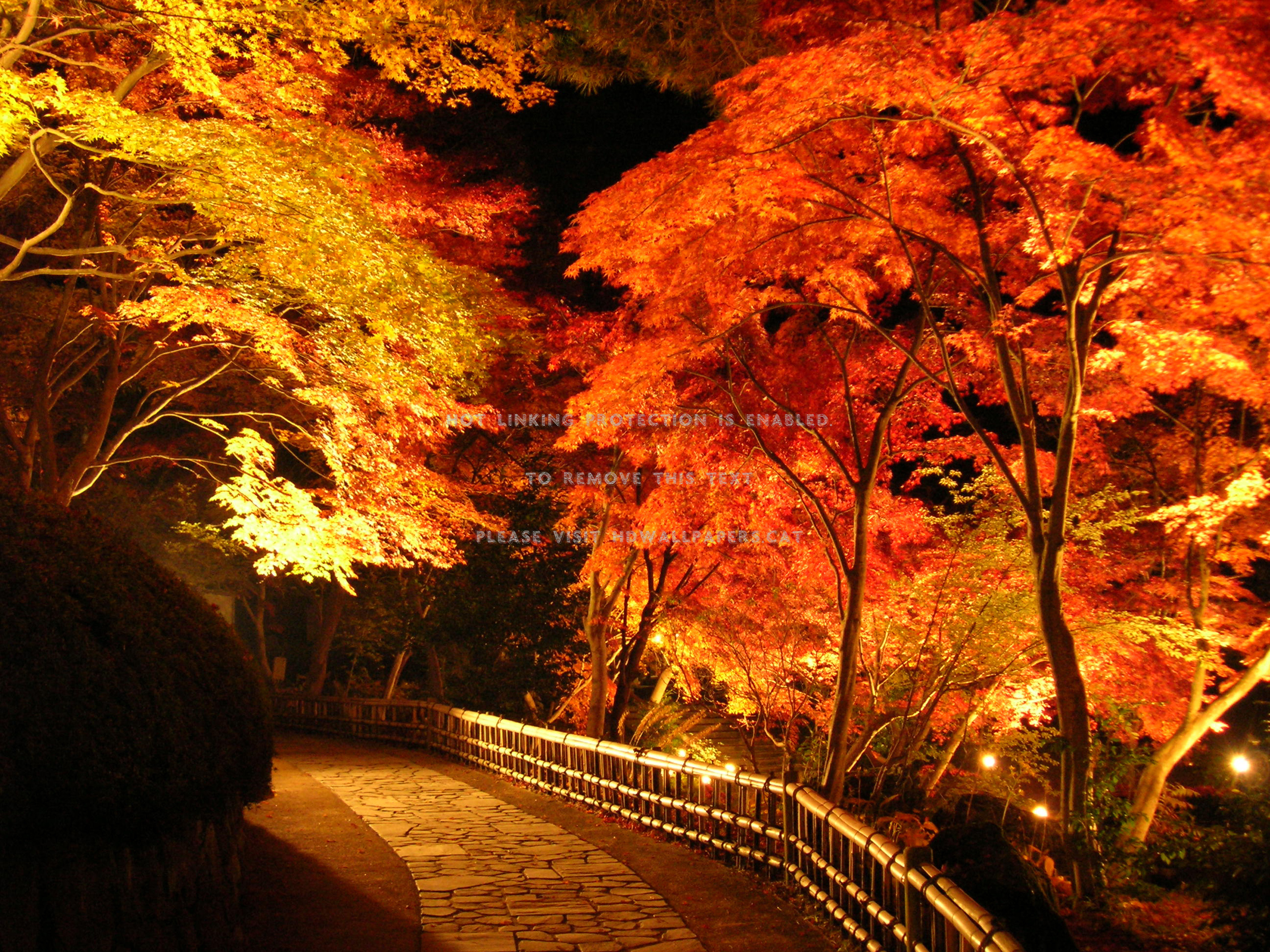 autumn evening the park railing fall night