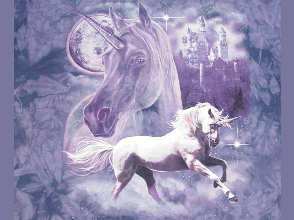 Unicorn Wallpaper Unicorns Image High Definition