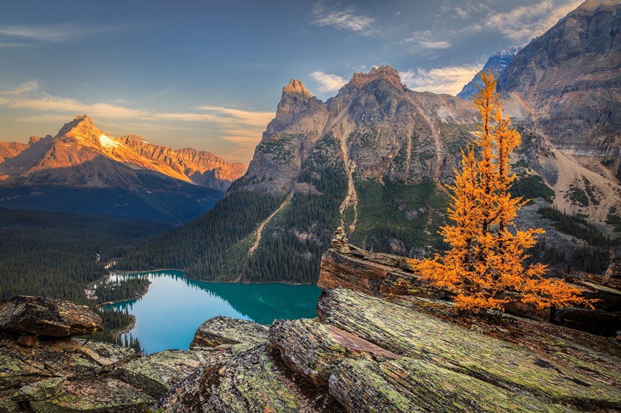 Desktop Wallpaper Canada Yoho Lake O Hara Crag Autumn Nature