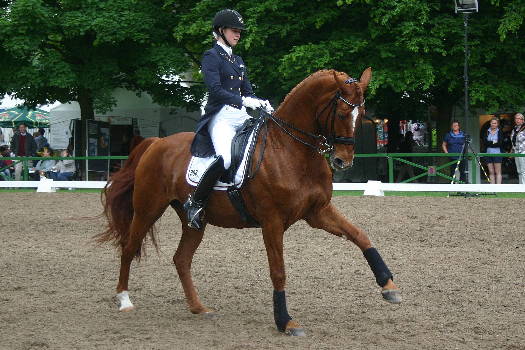 Dressage Wallpaper