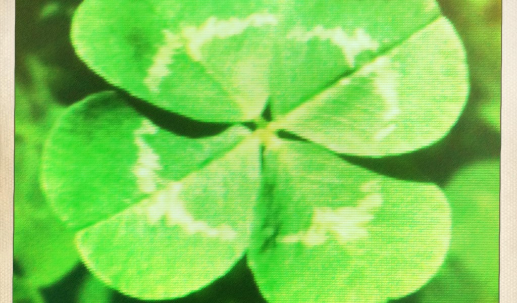 Four Leaf Clover Wallpaper HD