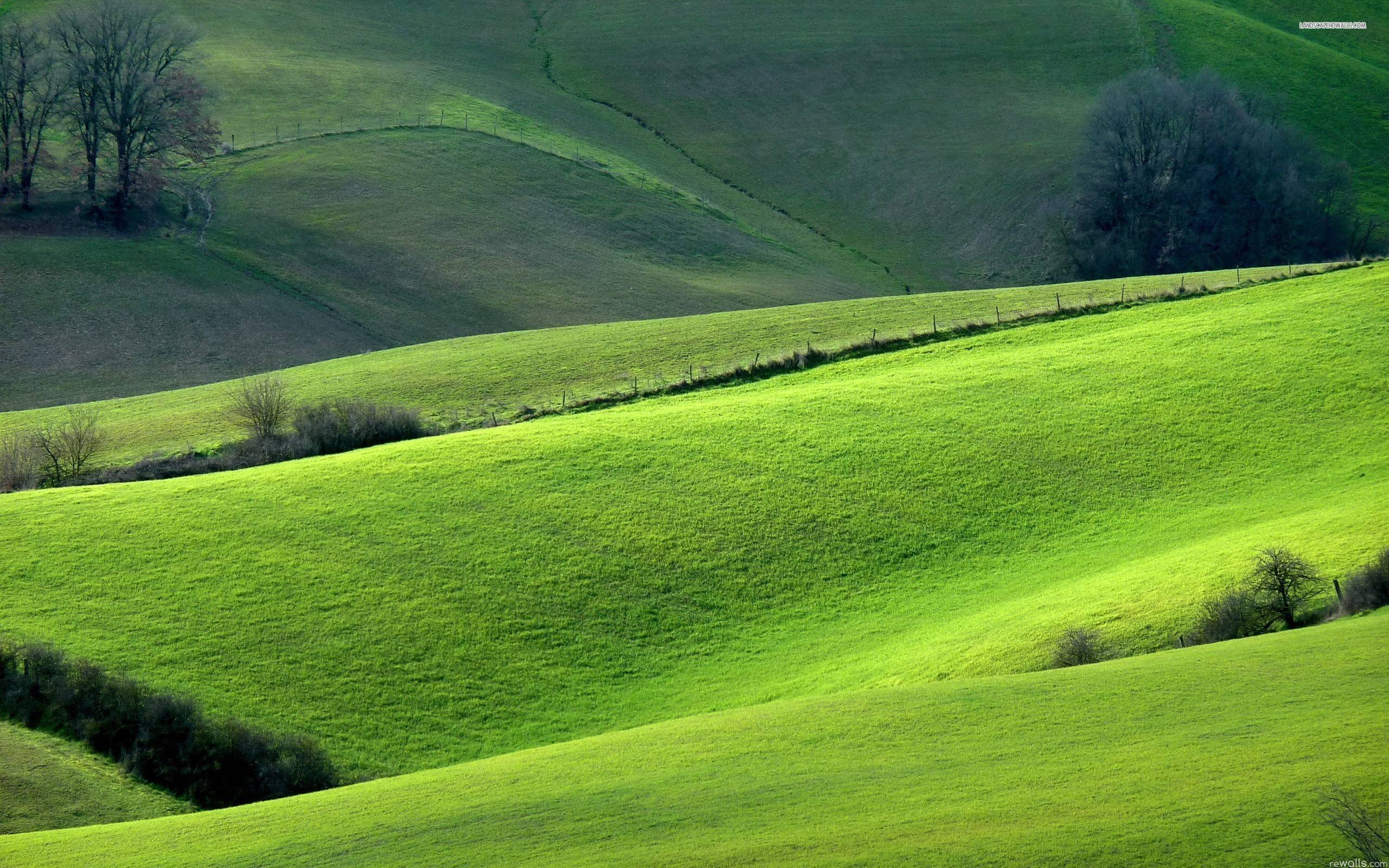 Green Hills Wallpaper