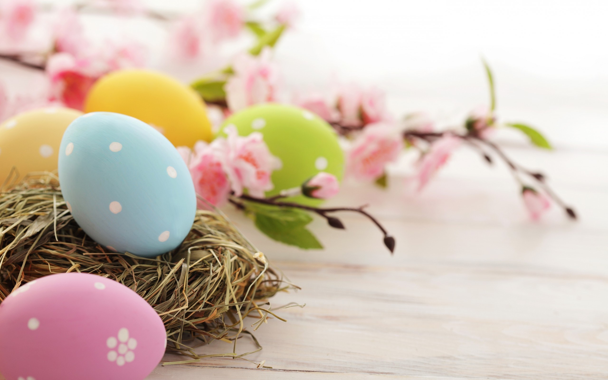 Cute Easter Decorating For Wallpaper