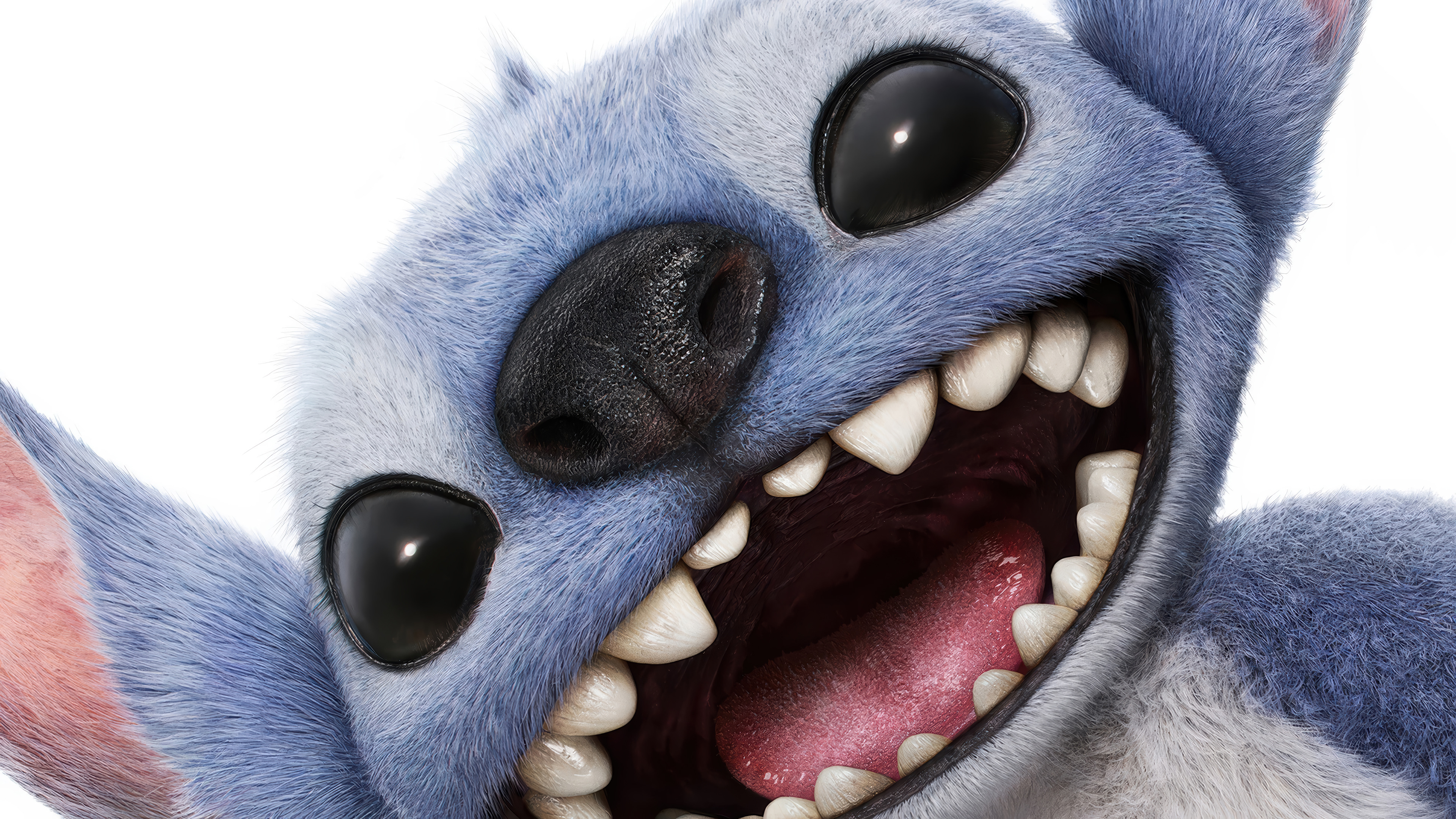 Stitch 4k Background
