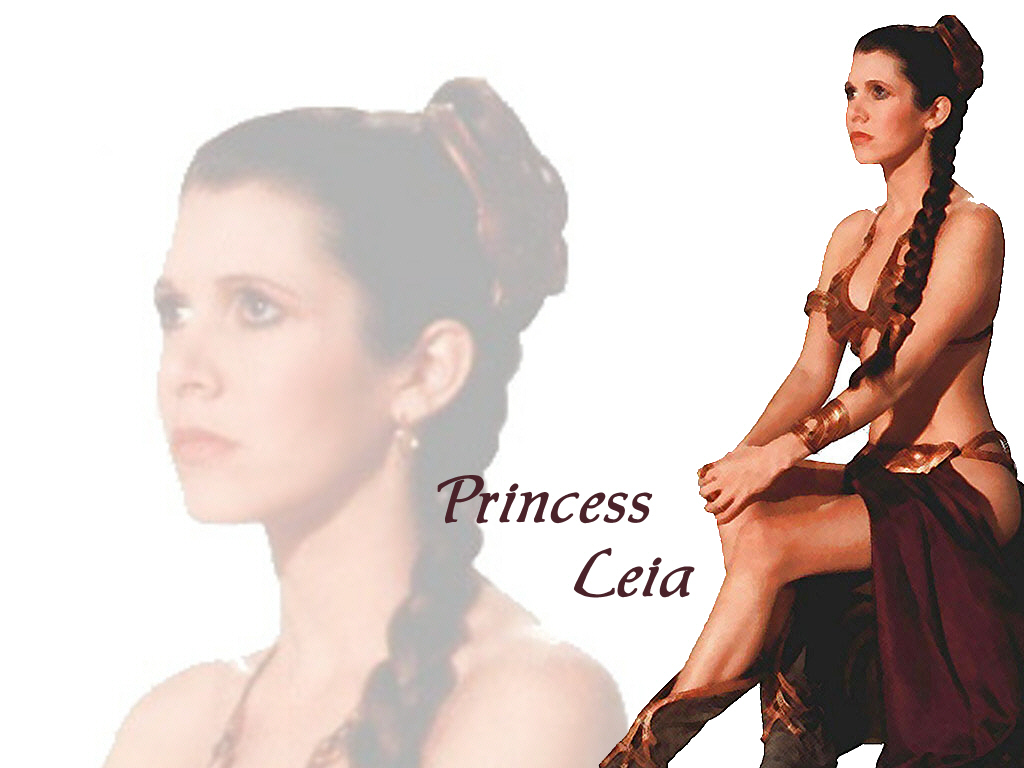 Princess Leia Organa Solo Skywalker Image