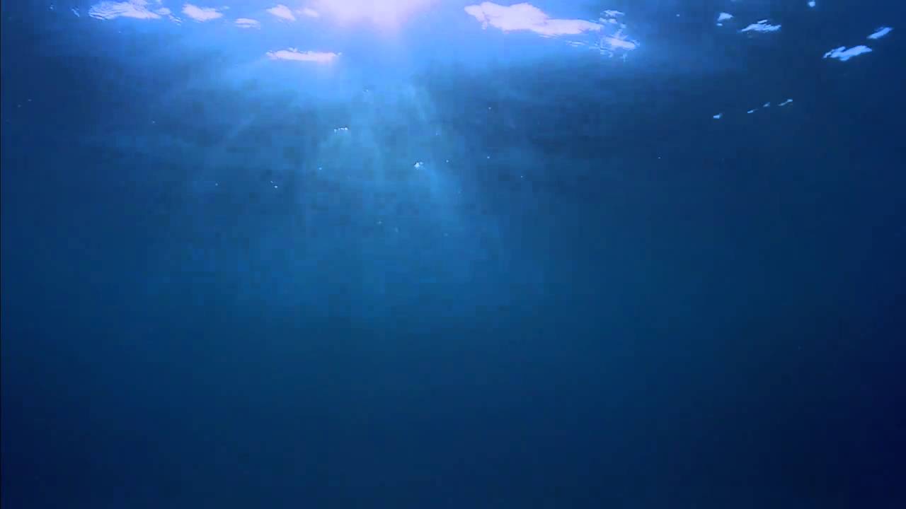 Underwater Windows Background Dreamscene