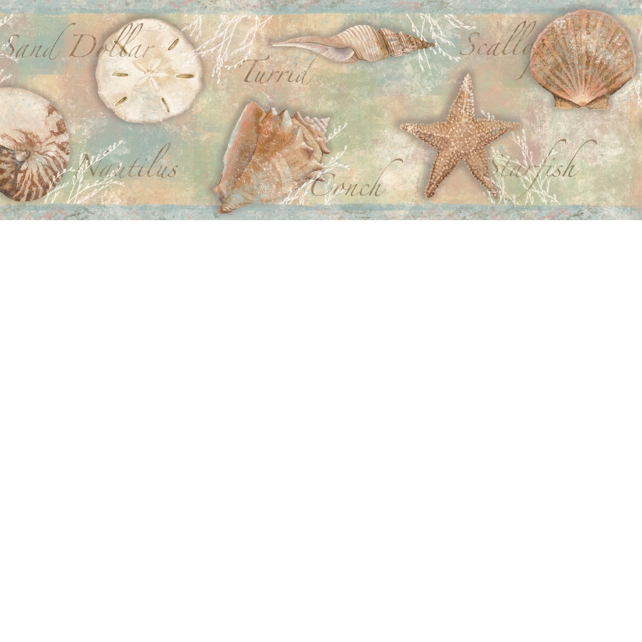 Free download Seashells Wallpaper Border Borders by chesapeake